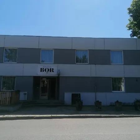 Hotel Bor