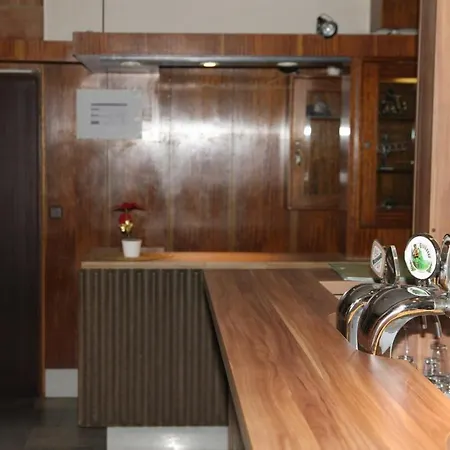 Hotel Bor Trebechovice pod Orebem