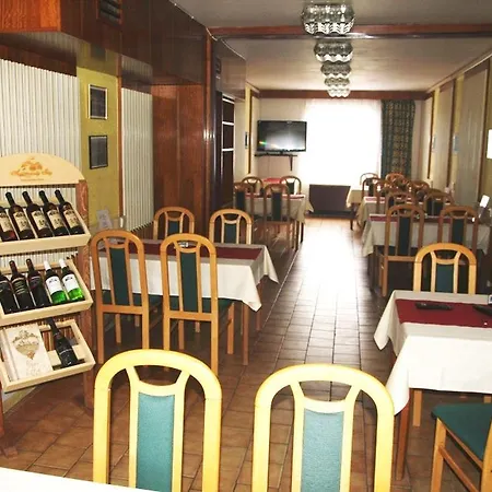 Hotel Bor Trebechovice pod Orebem